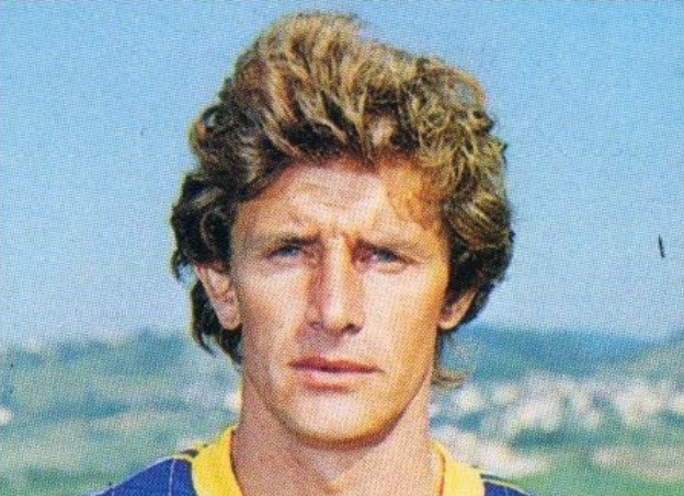 domenico volpati hellas verona