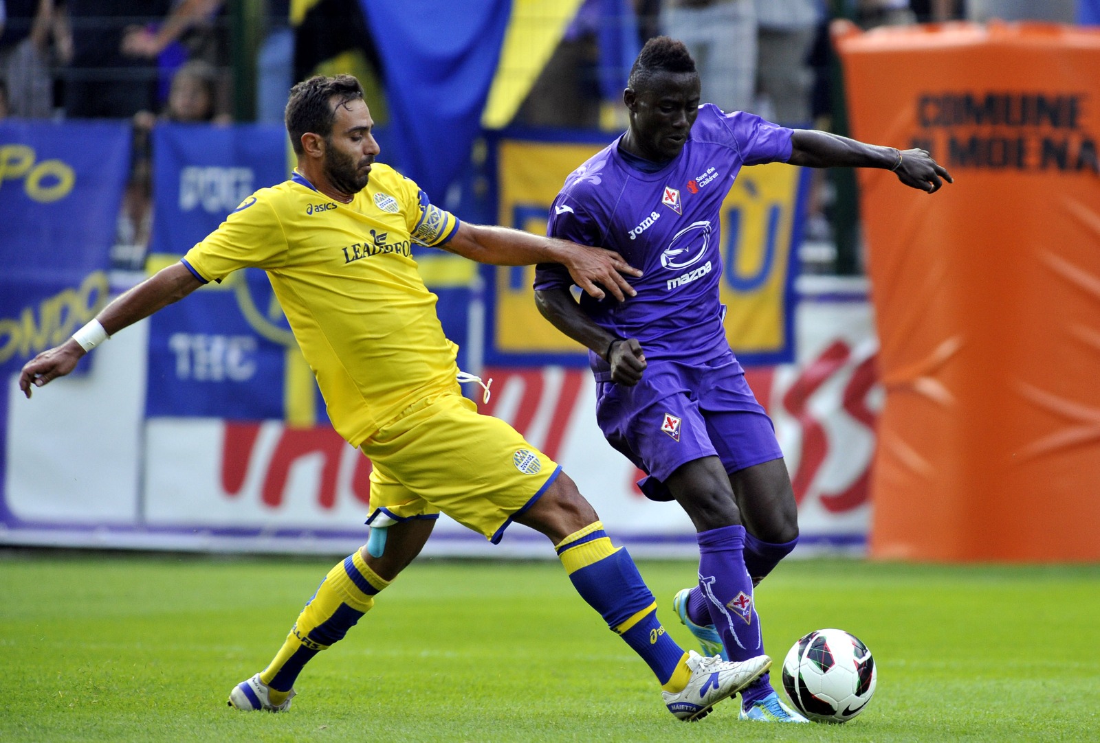 domenico maietta hellas verona