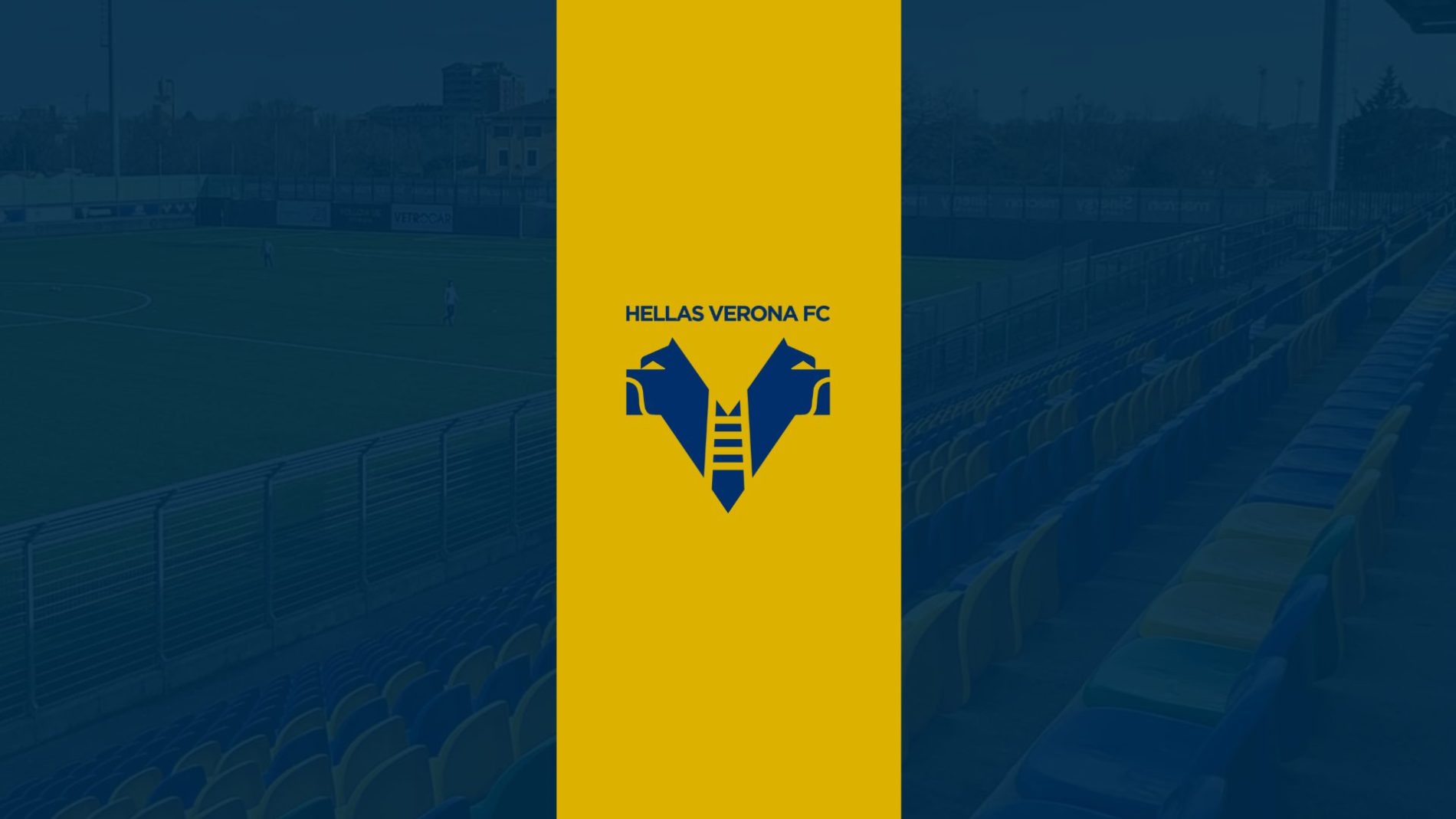 giovanili hellas verona