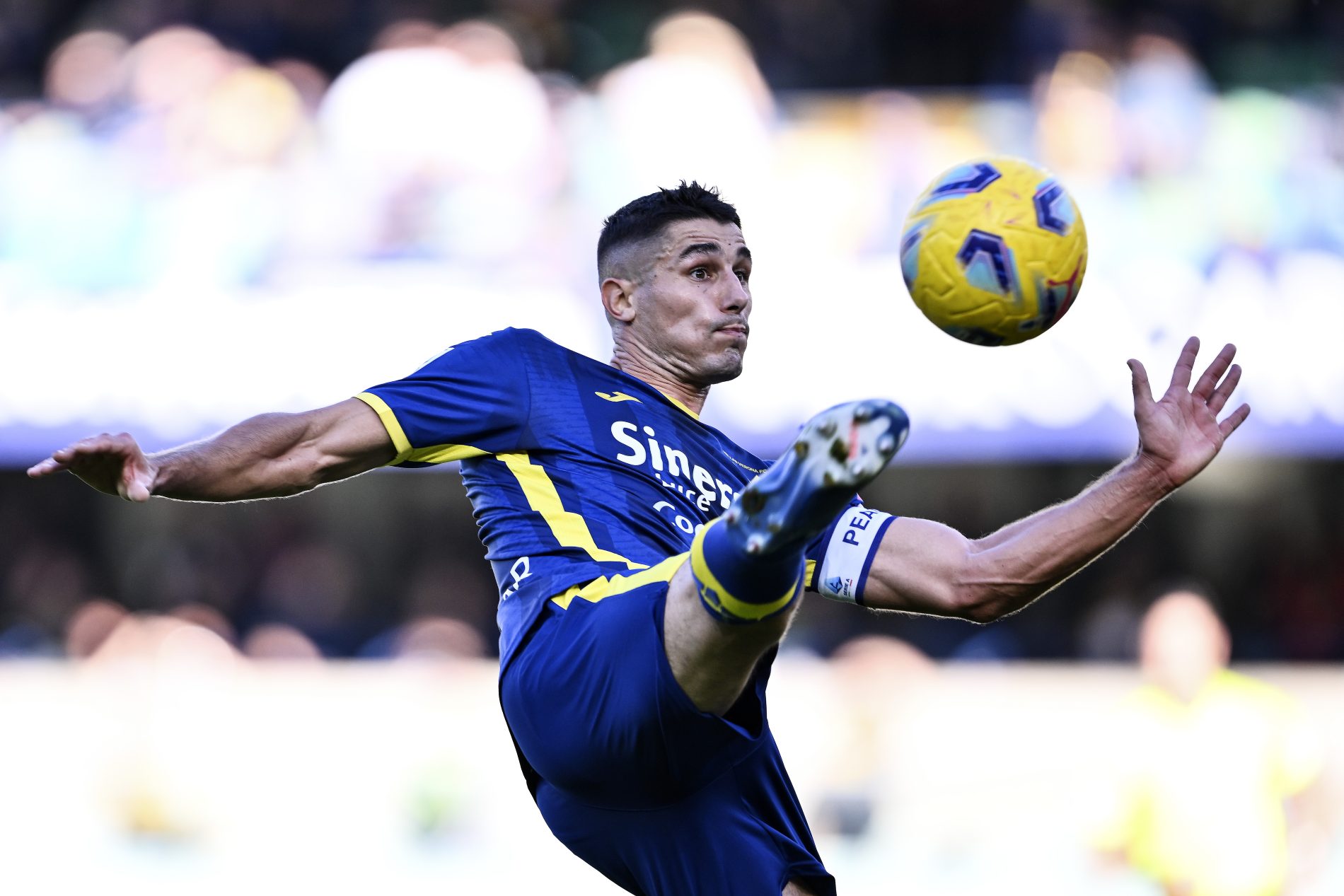 marco davide faraoni hellas verona