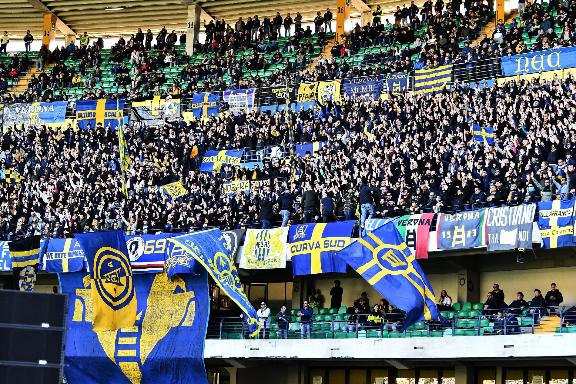 tifosi hellas verona