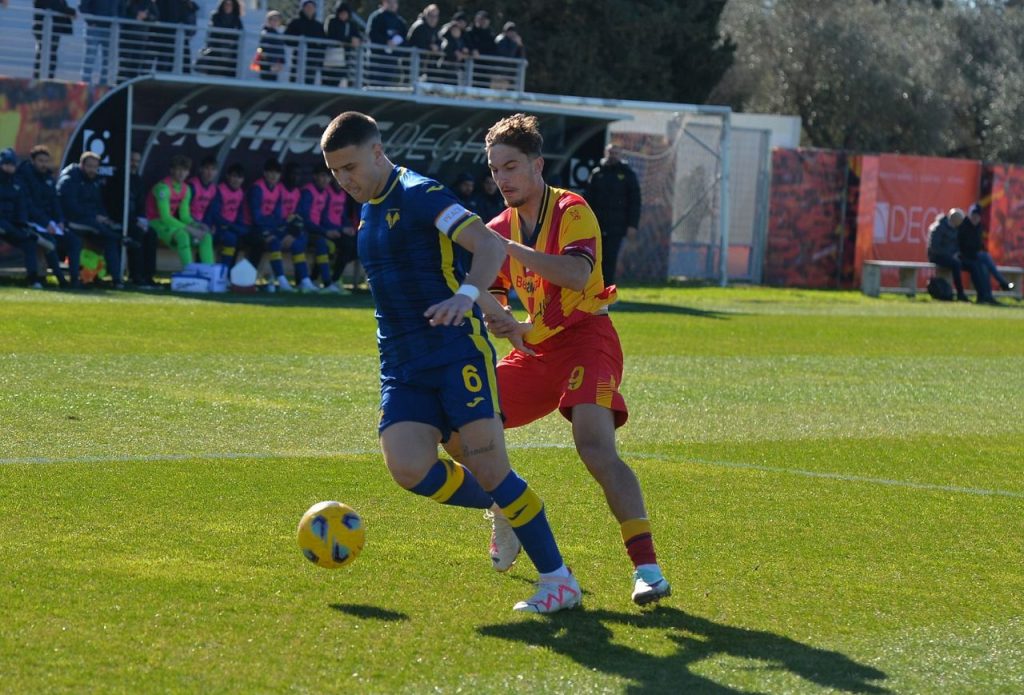 calabrese primavera hellas verona