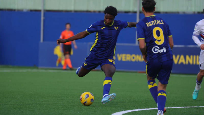 cisse primavera hellas verona