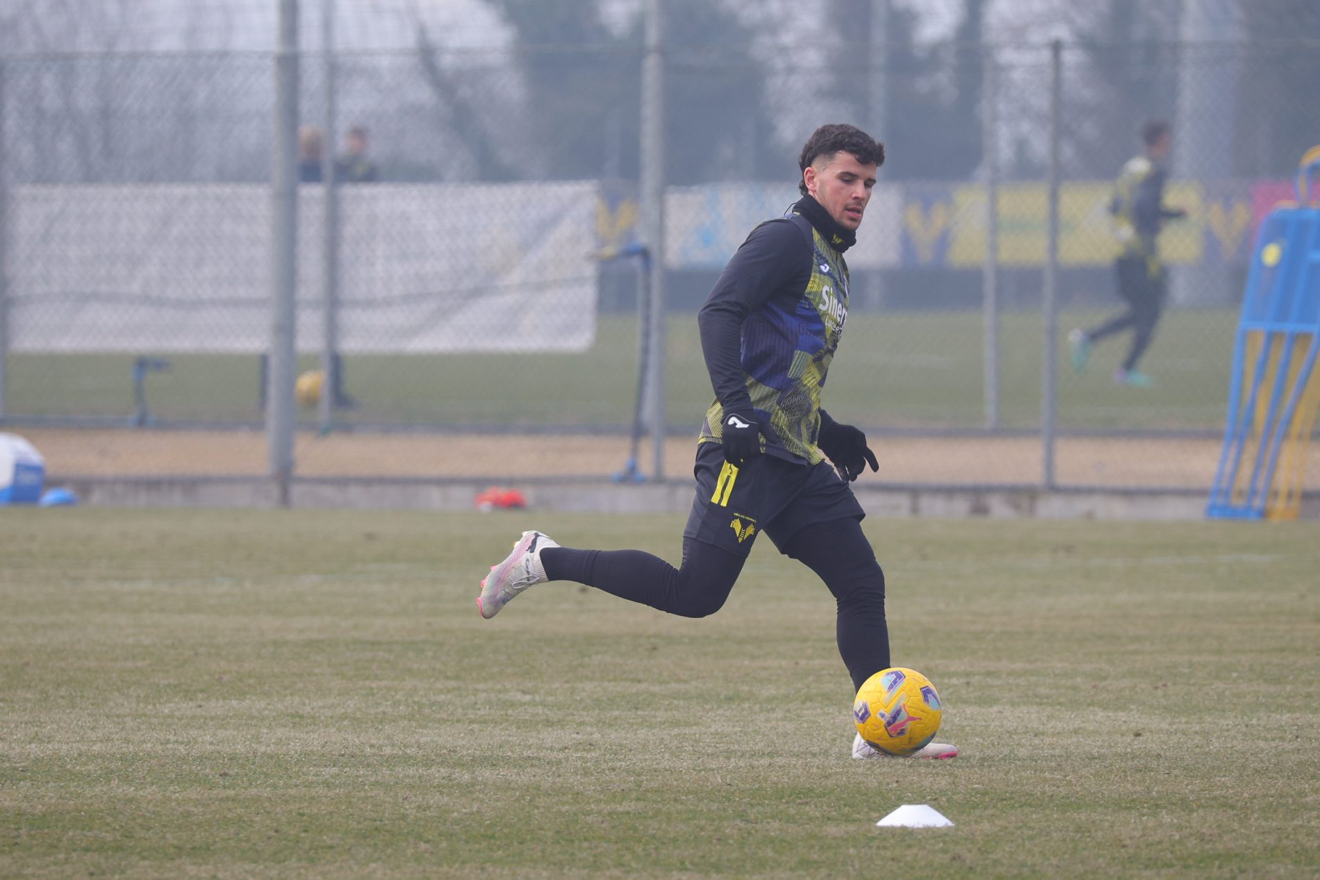 dani silva hellas verona