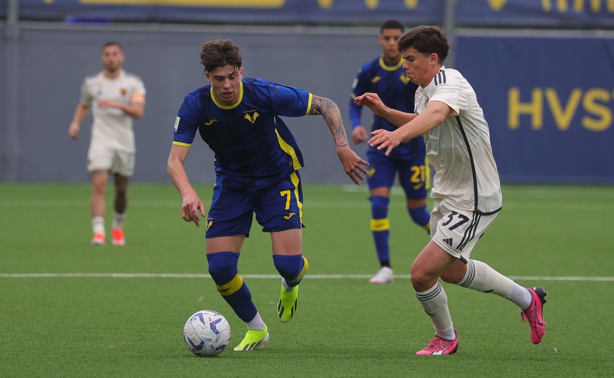 patanè primavera hellas verona