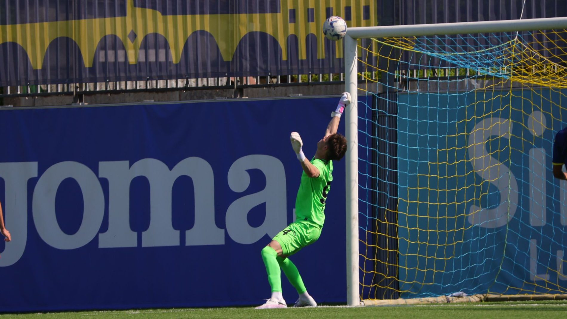toniolo primavera hellas verona