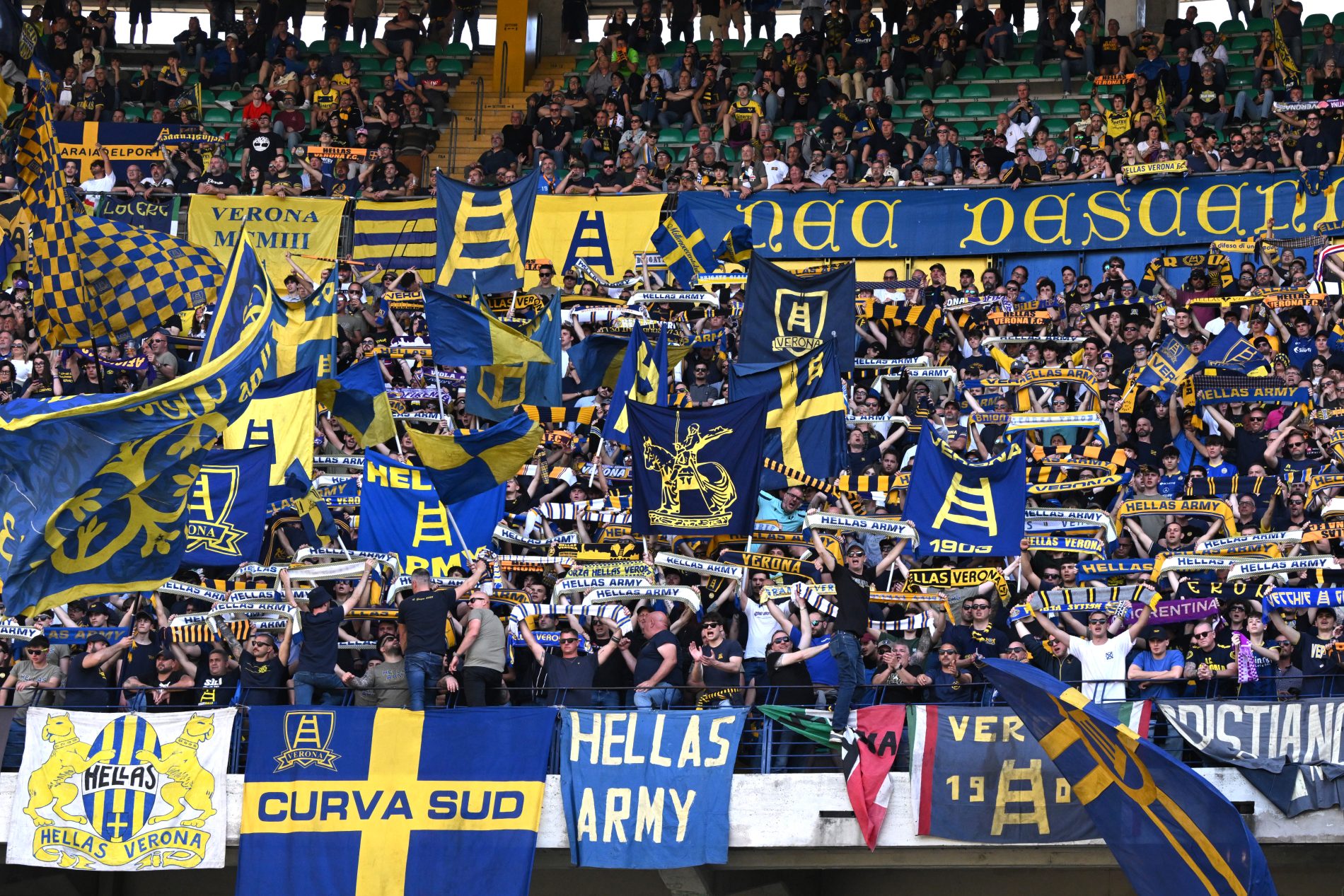tifosi hellas verona