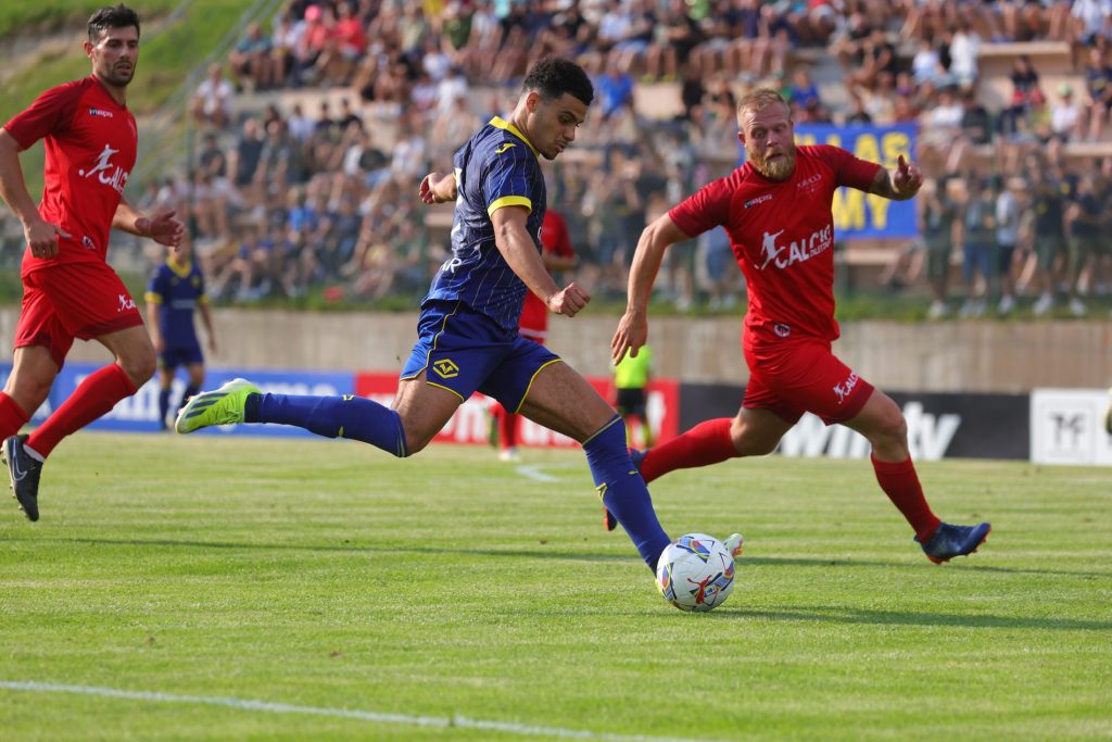 Elayis Tavsan hellas verona