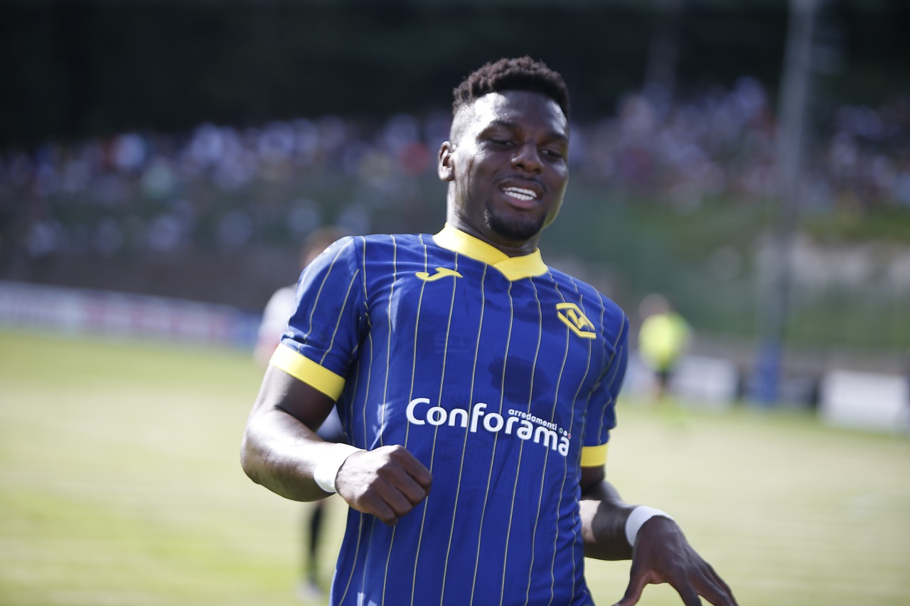 daniel mosquera hellas verona