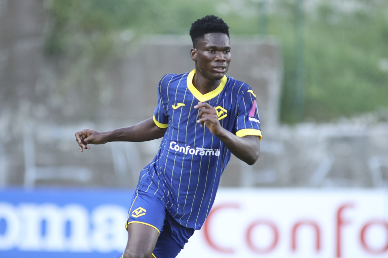 ajayi primavera hellas verona