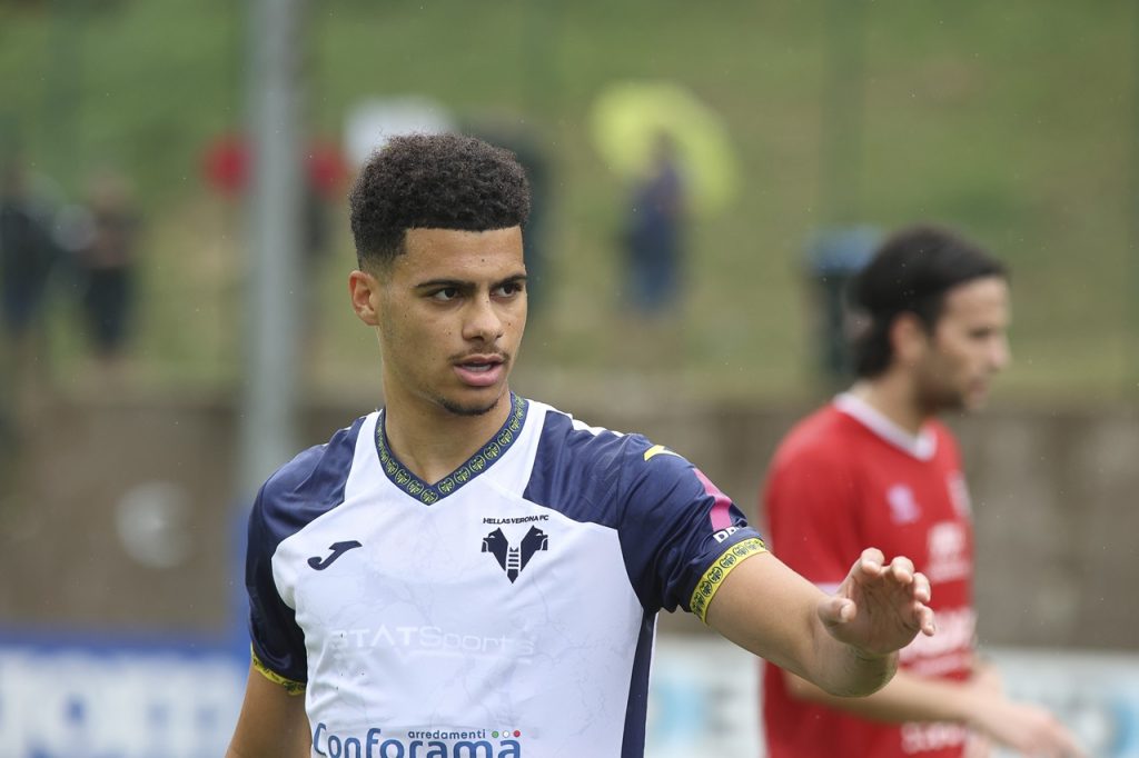 elayis tavsan hellas verona