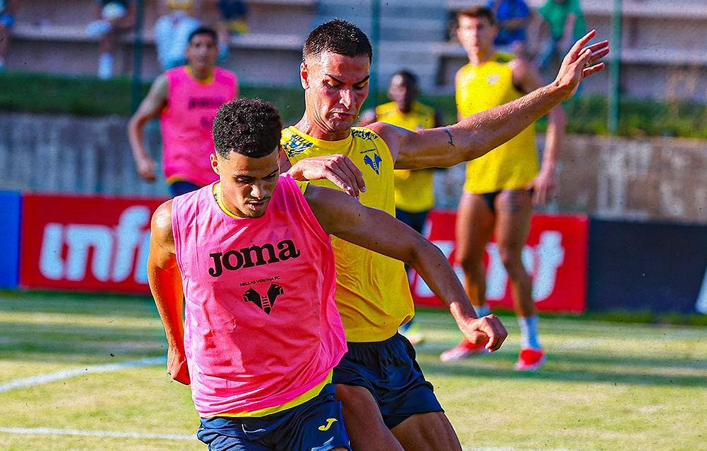 diego coppola hellas verona