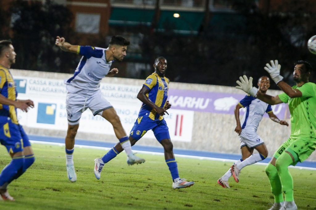 suat serdar hellas verona