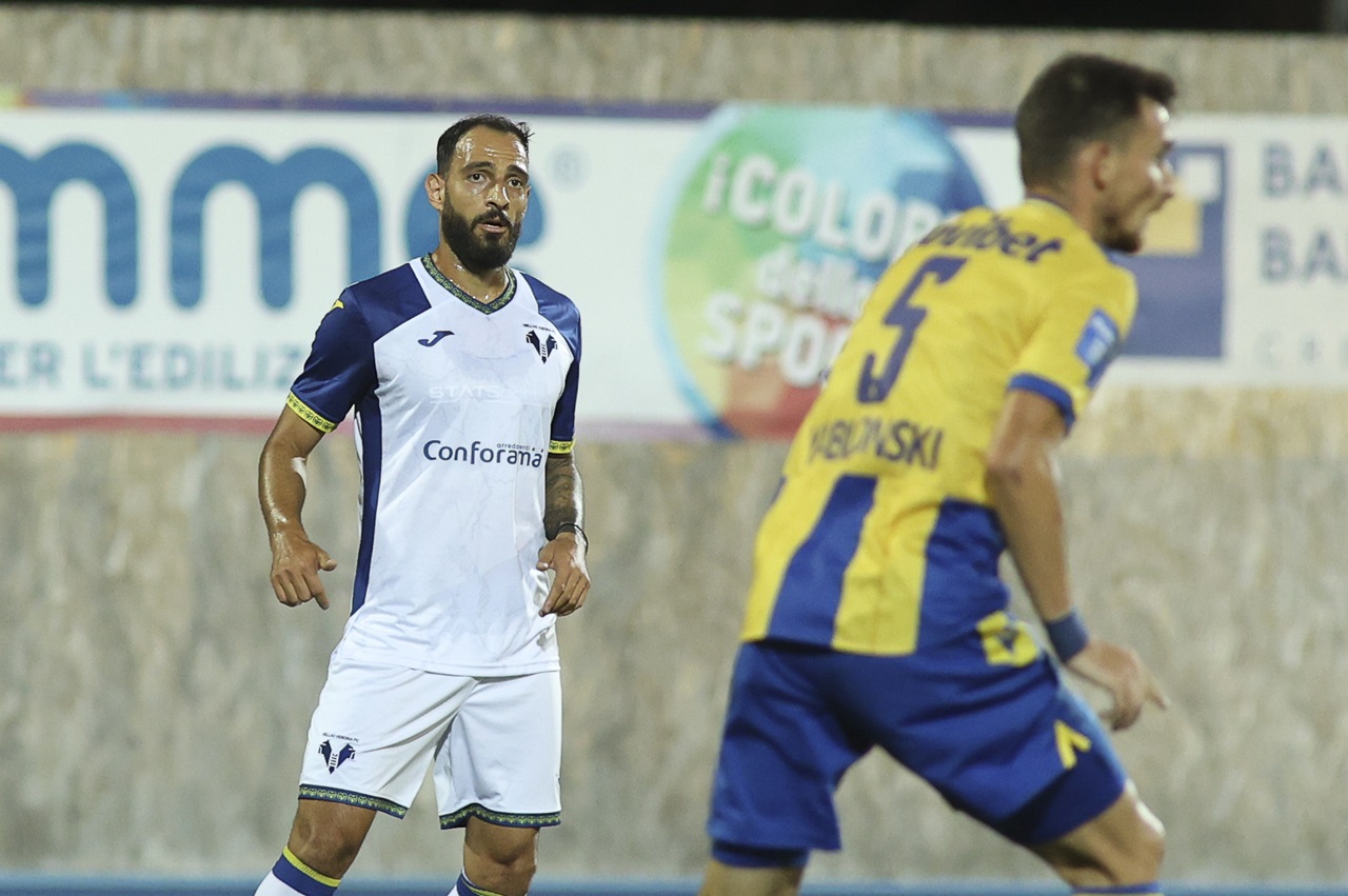 grigoris kastanos hellas verona