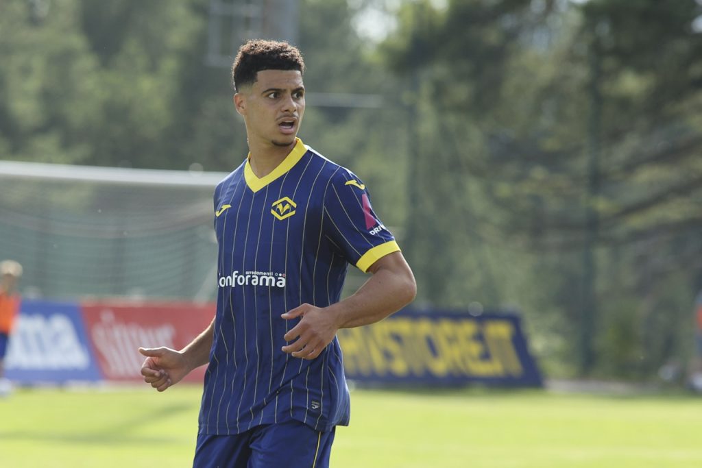 elayis tavsan hellas verona