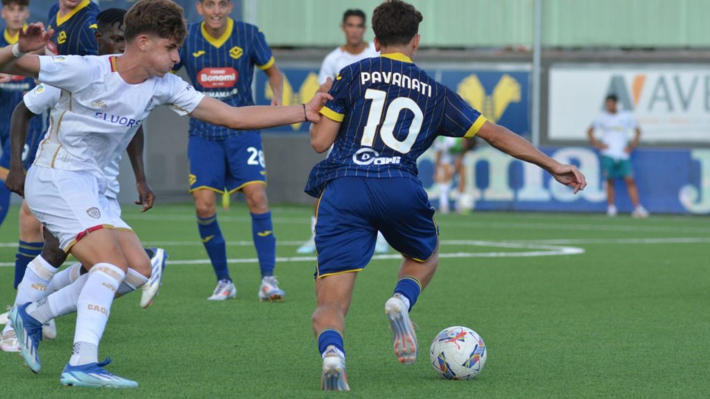 pavanati primavera hellas verona