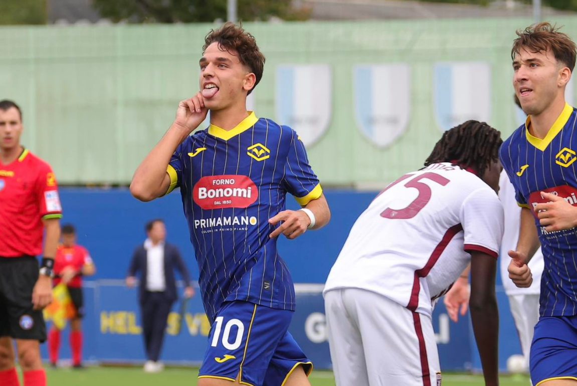 pavanati primavera hellas verona