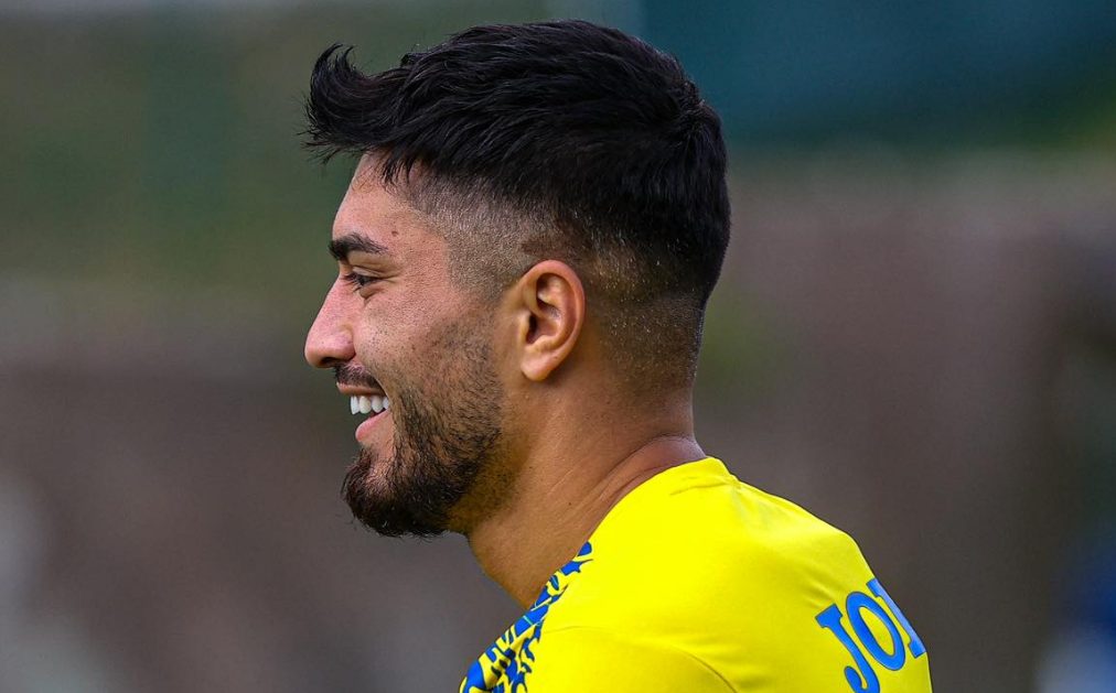 suat serdar hellas verona