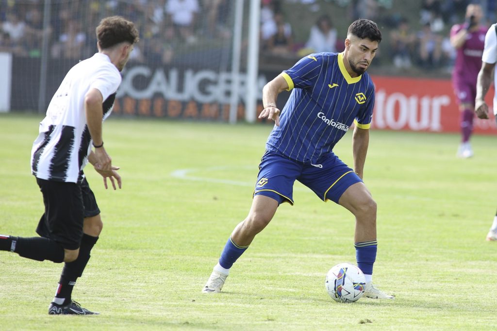suat serda hellas verona