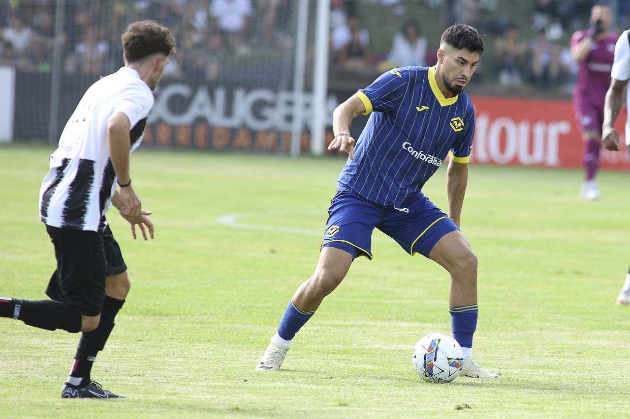 suat serda hellas verona