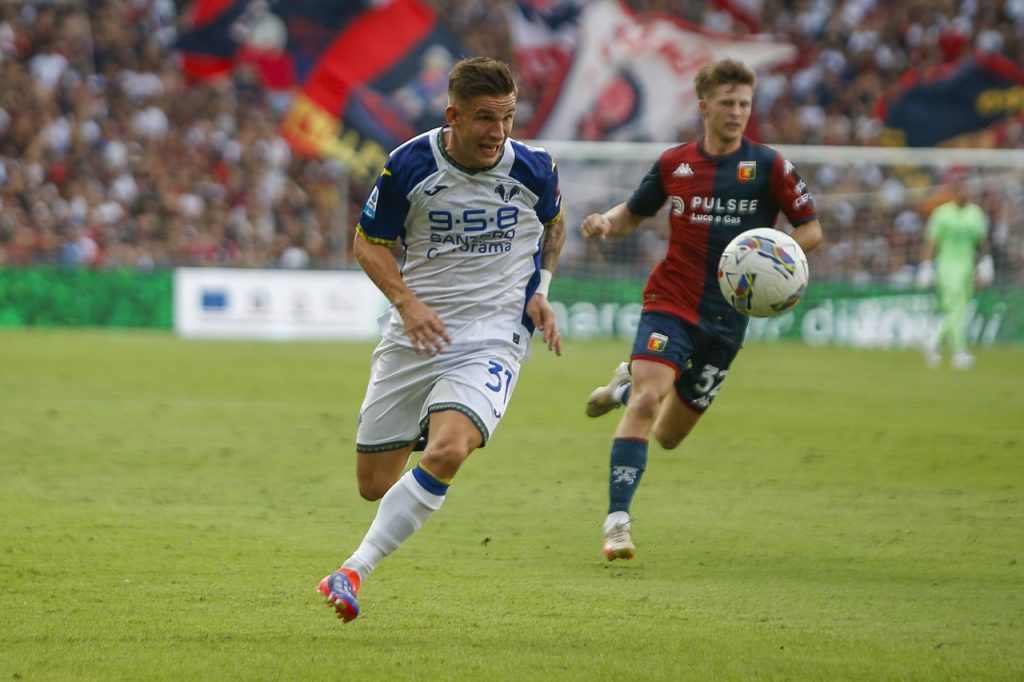 suslov hellas verona