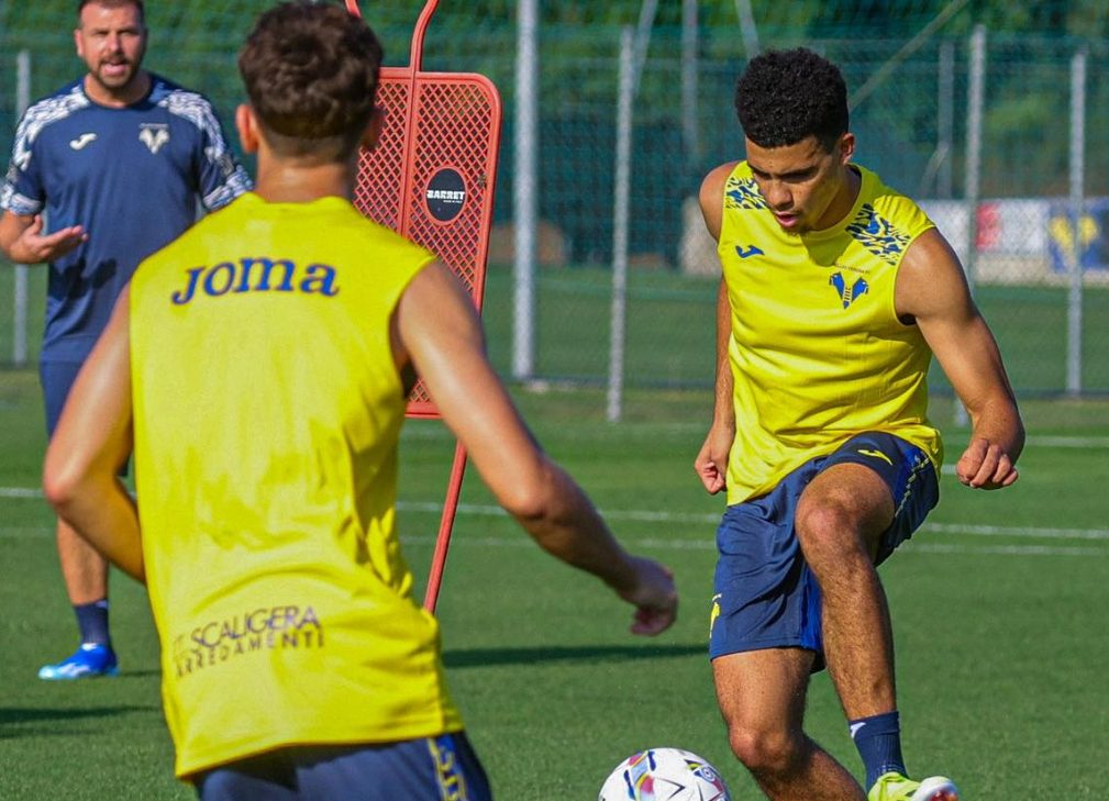 tavsan allenamento