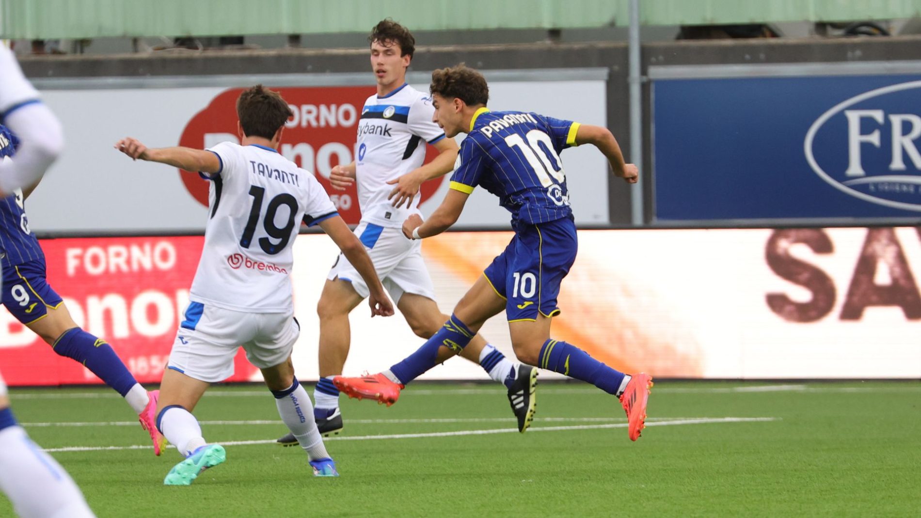 pavanati hellas verona primavera