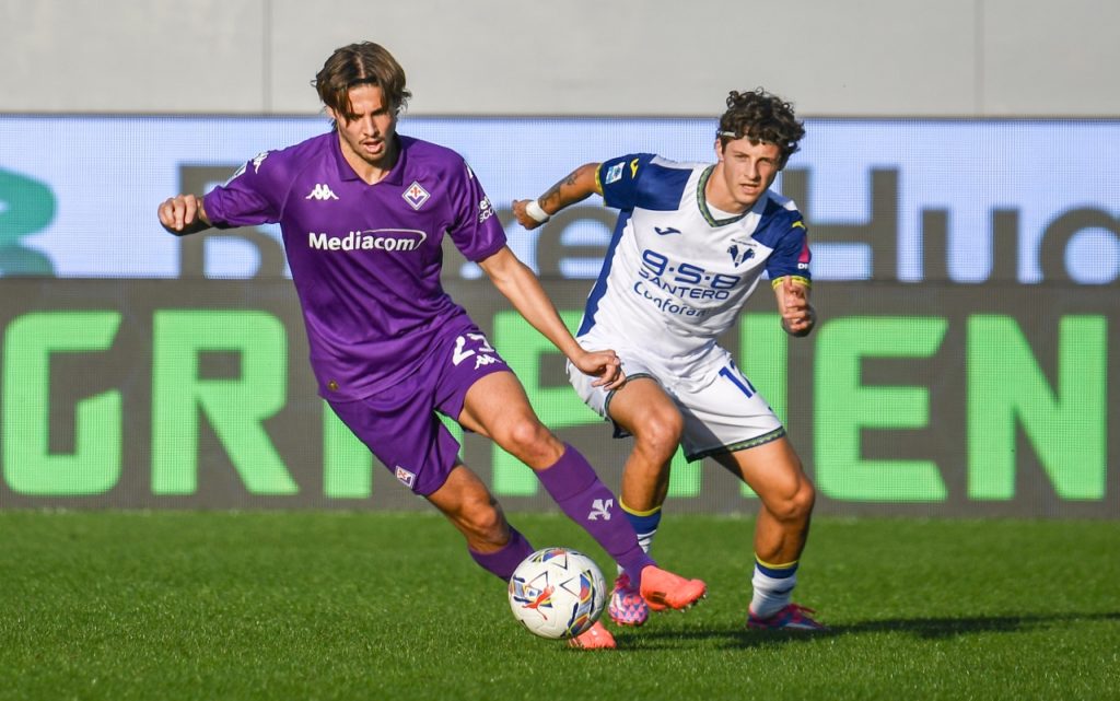 domagoj bradaric hellas verona