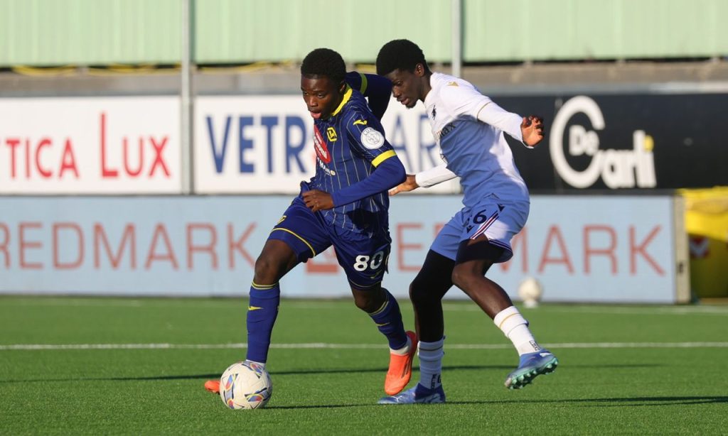 cisse primavera hellas verona