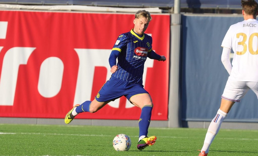 adi kurti primavera hellas verona