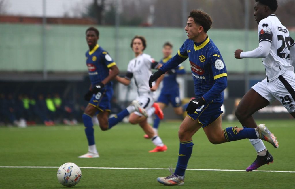 alessandro pavanati hellas verona primavera
