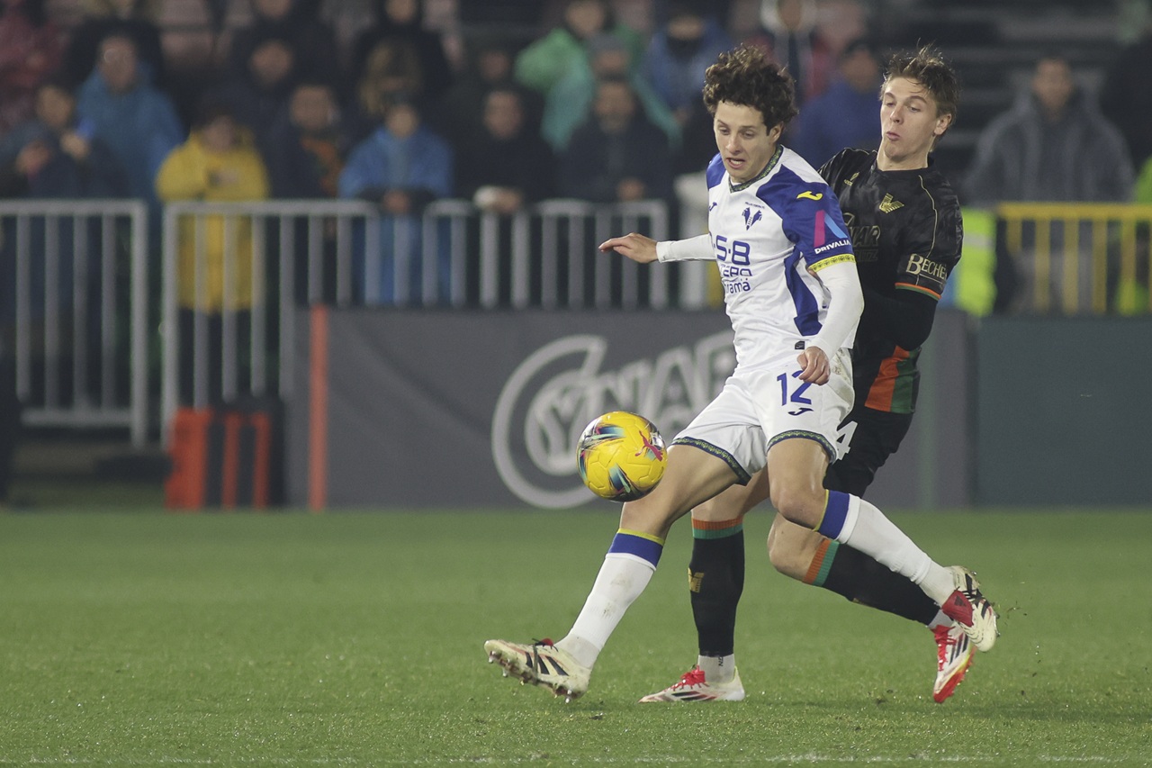 domagoj bradaric hellas verona