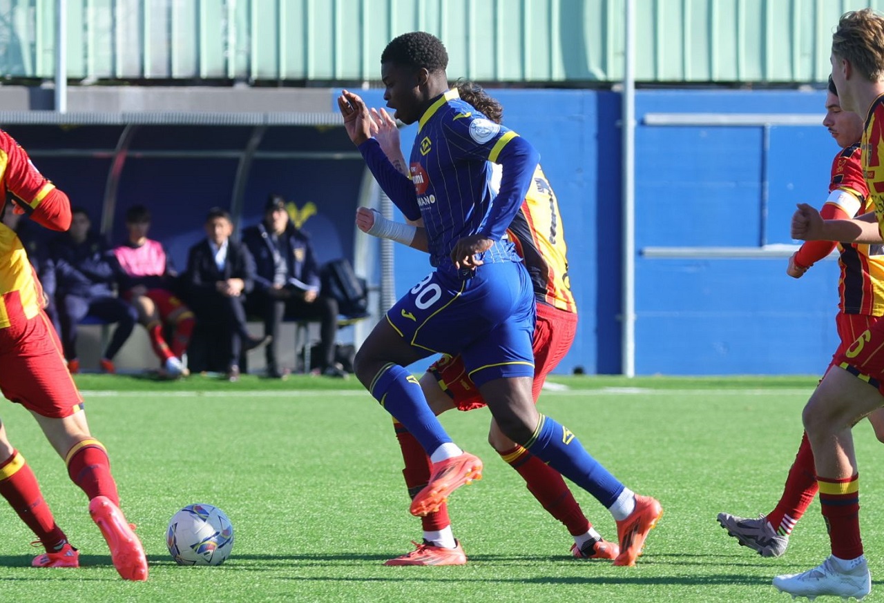 alphadjo cisse primavera