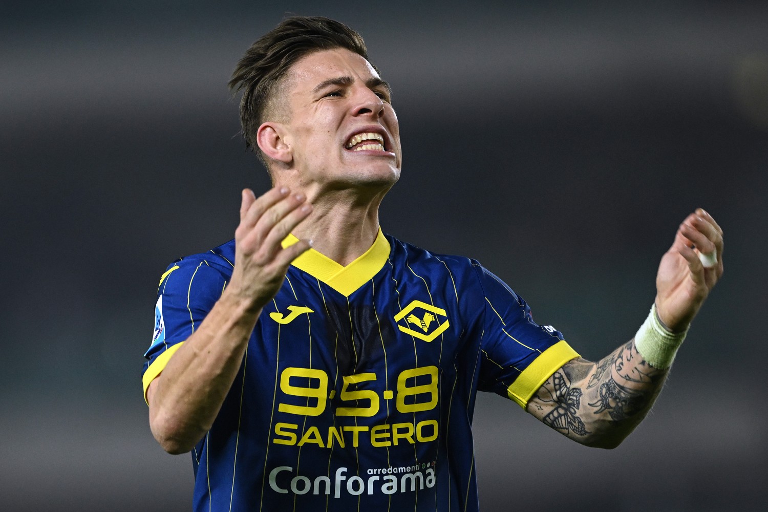 suslov hellas verona
