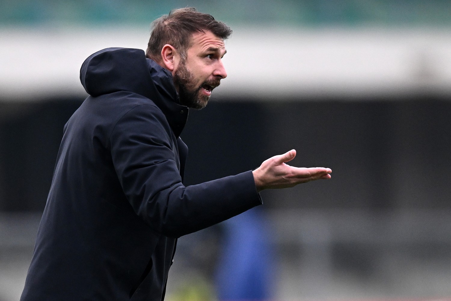 paolo zanetti hellas verona