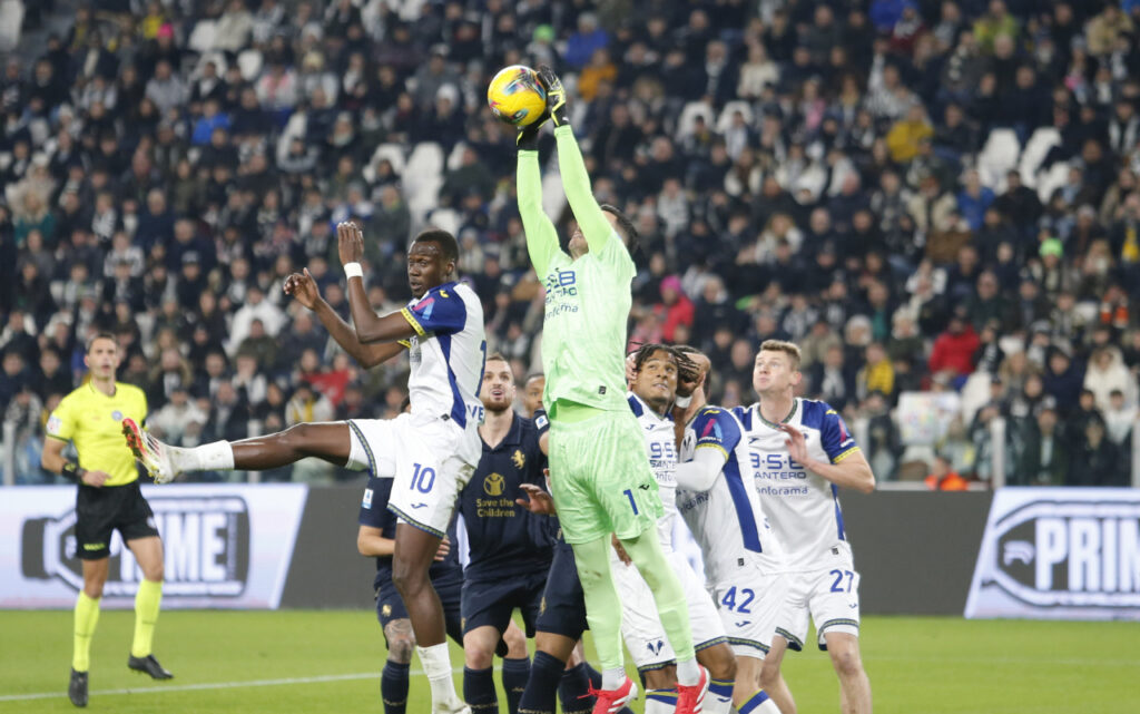 lorenzo montipò hellas verona