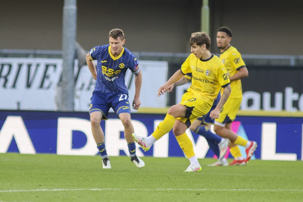 pawel dawidowicz hellas verona