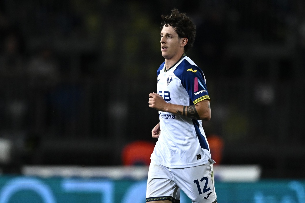 domagoj bradaric hellas verona