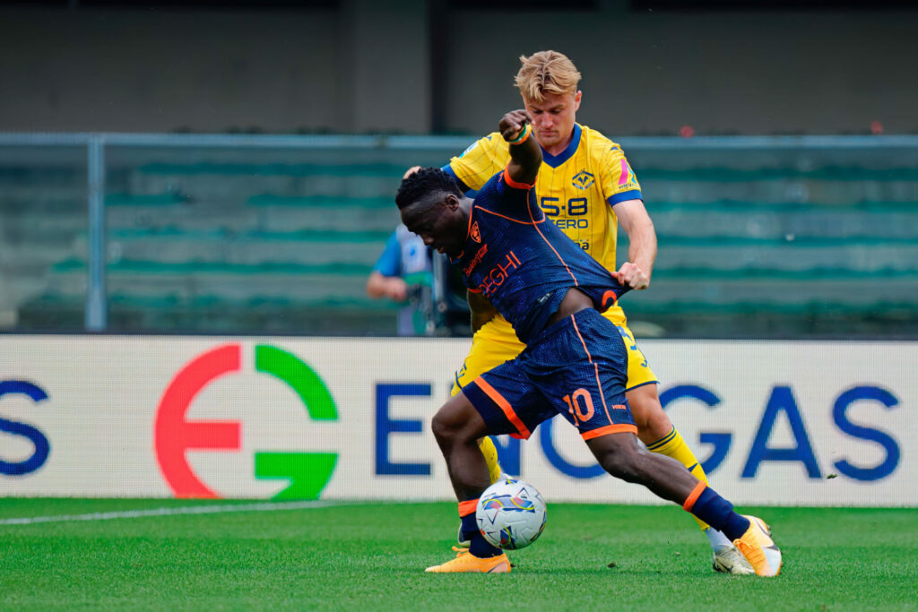 martin frese hellas verona