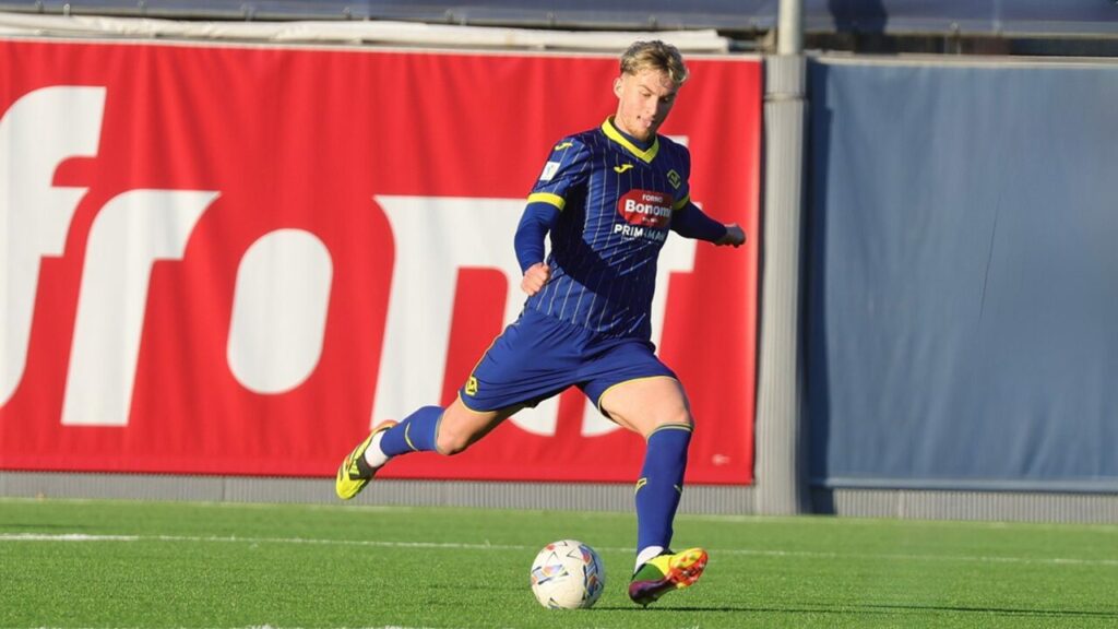 kurti primavera hellas verona