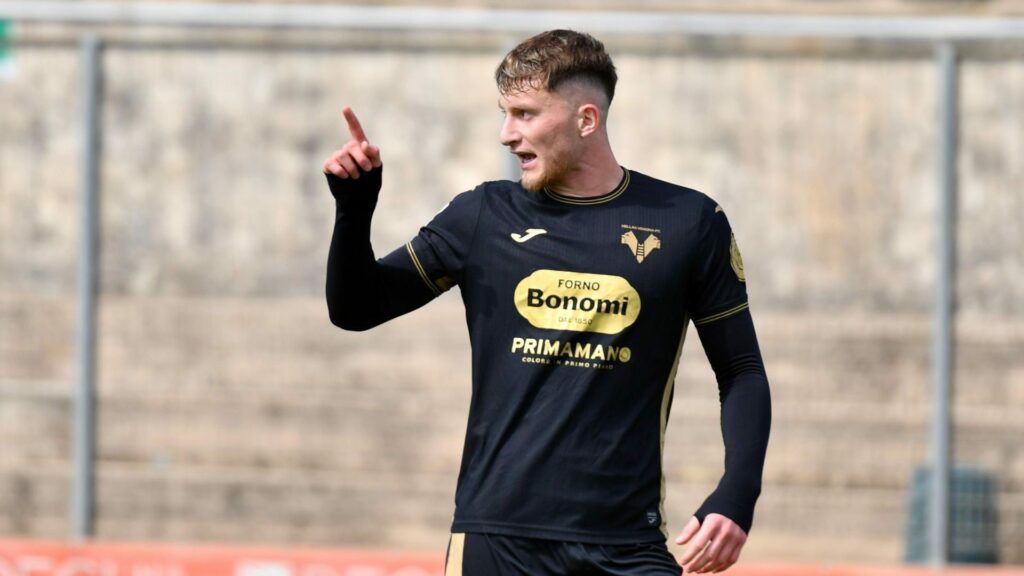 kurti primavera hellas verona