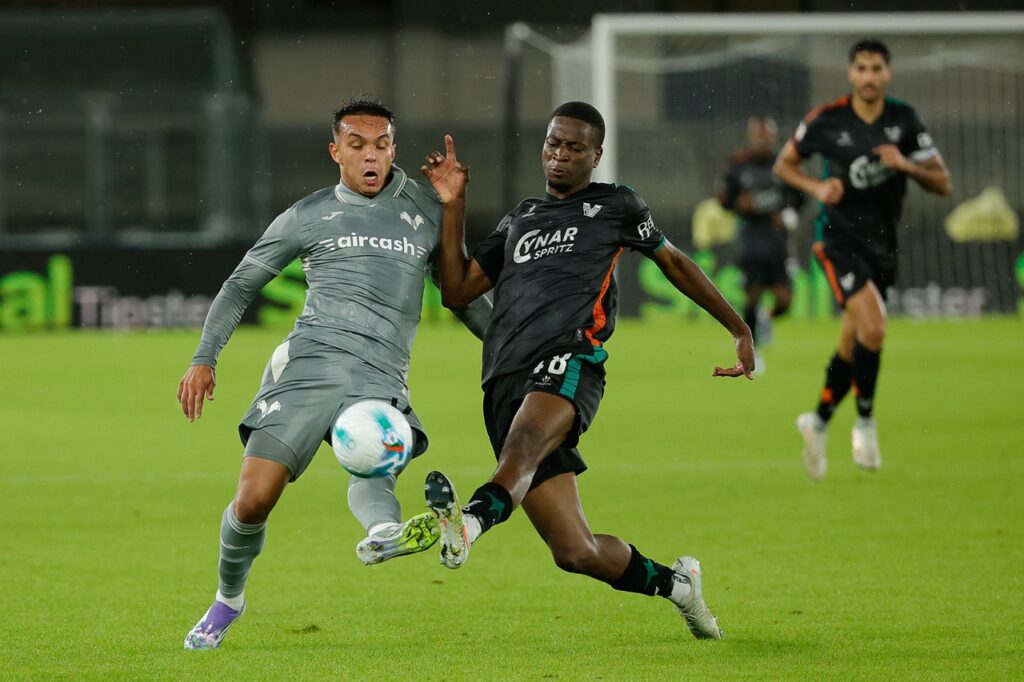 giovane hellas verona