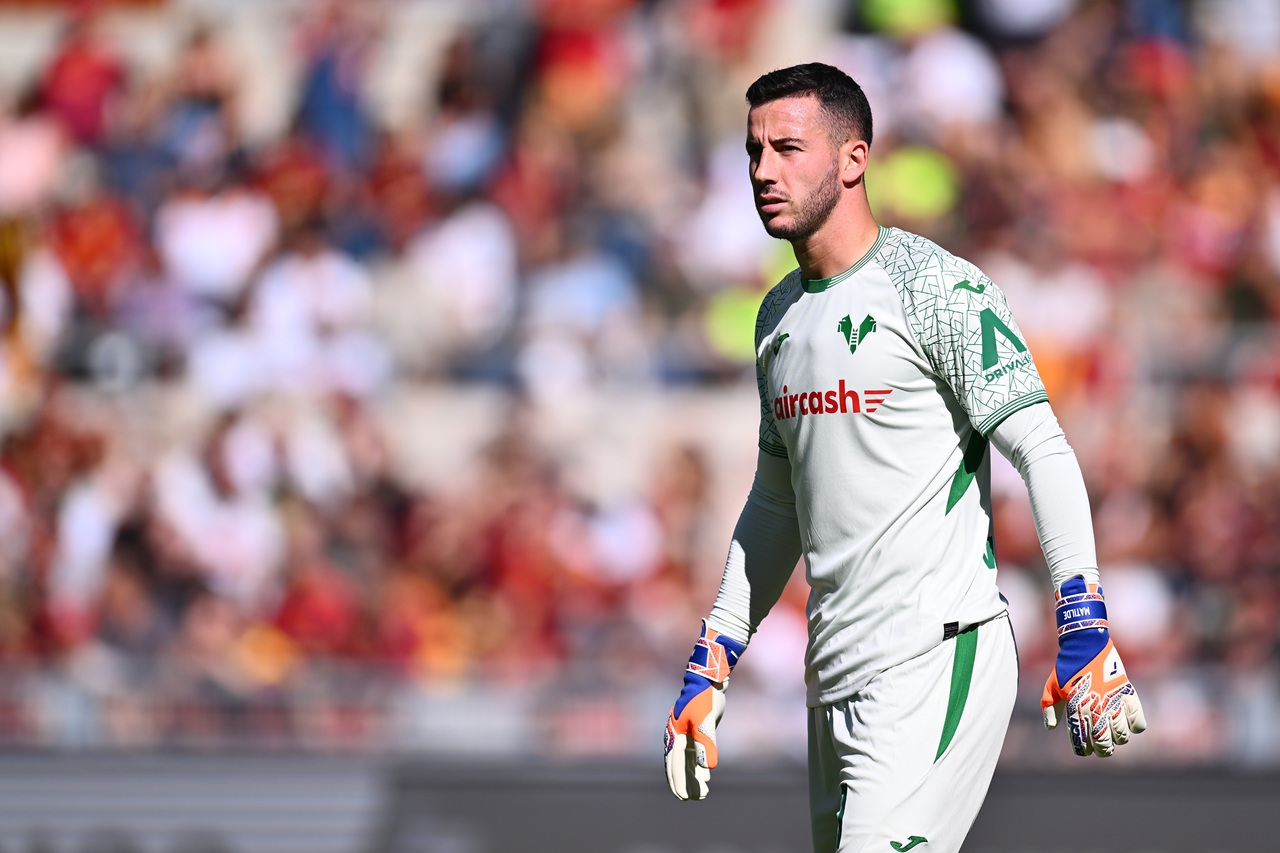 lorenzo montipò hellas verona