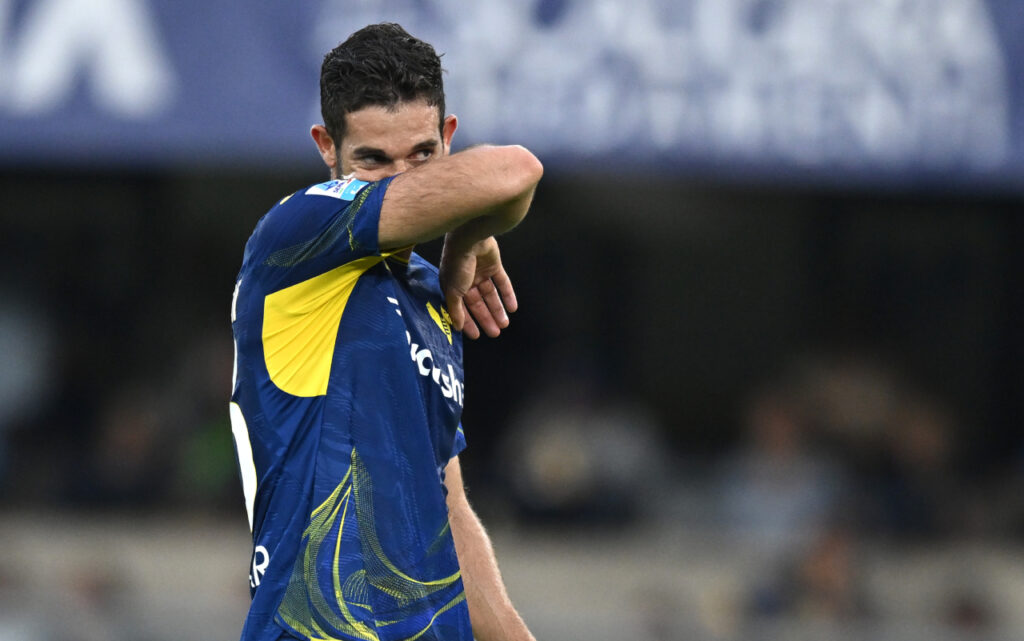 roberto gagliardini hellas verona