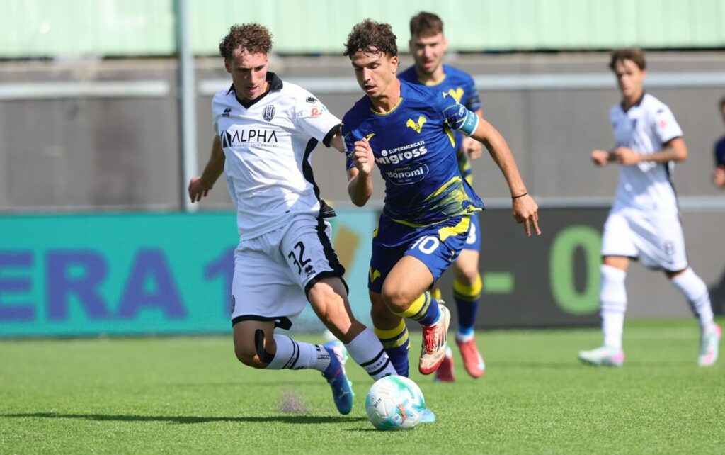 pavanati primavera hellas verona