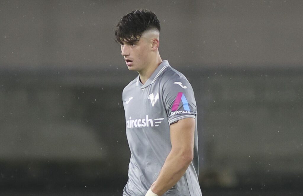 ioan vermesan hellas verona