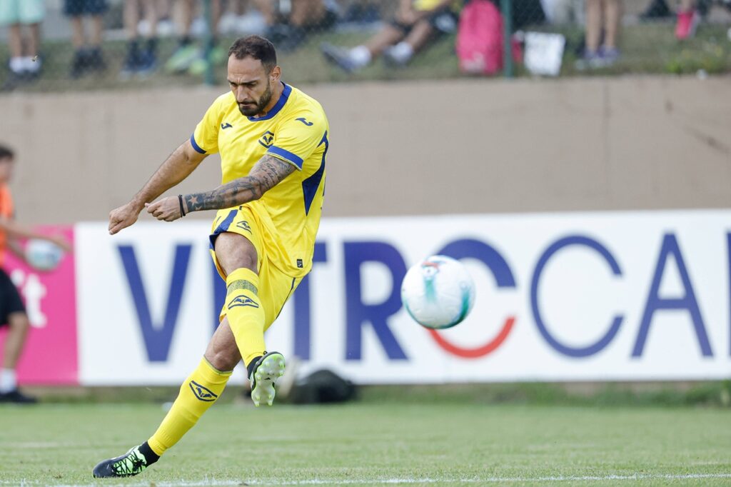 grigoris kastanos hellas verona
