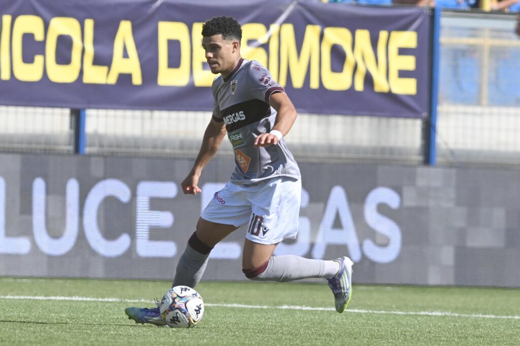 elayis tavsan hellas verona reggiana