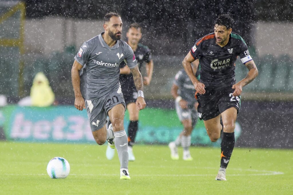 grigoris kastanos hellas verona