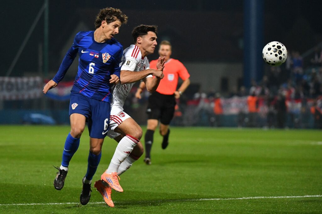 domagoj bradaric hellas verona croazia